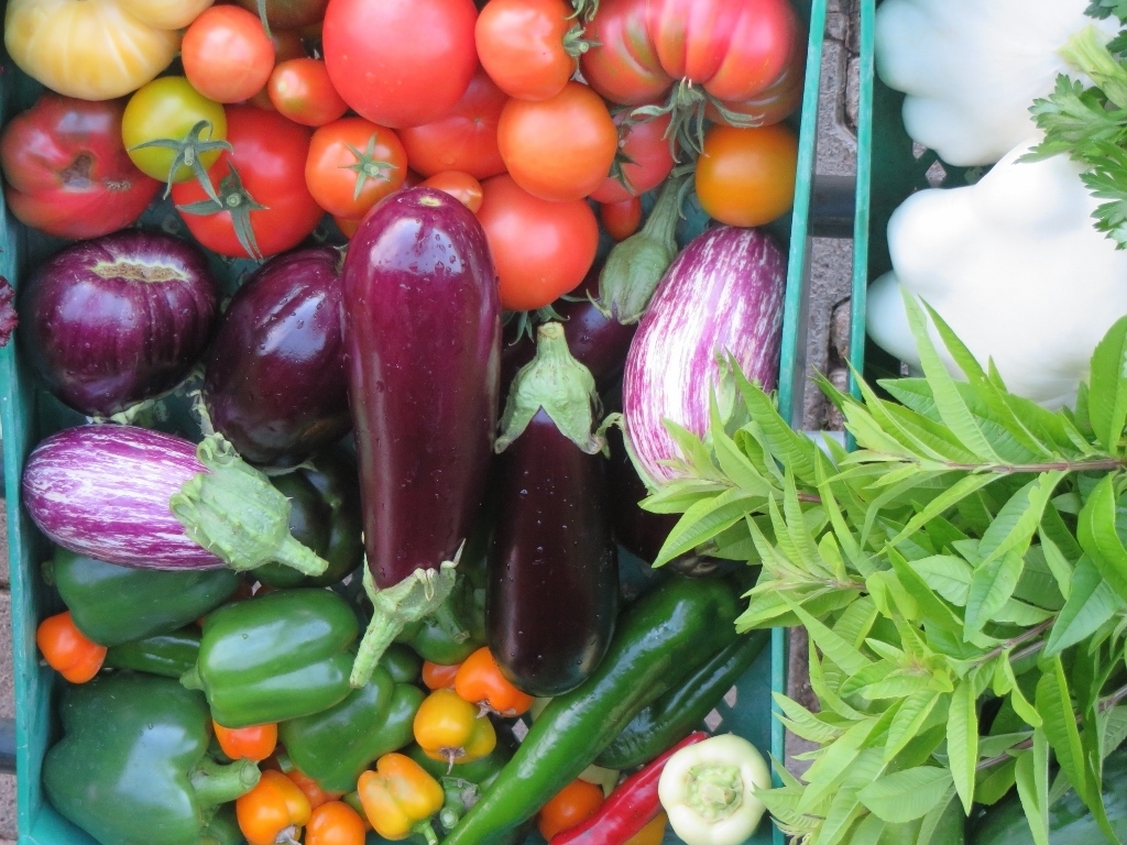 Ihr Essen aus dem eigenen Garten? Pflanzenverkauf in unserer G&auml;rtnerei