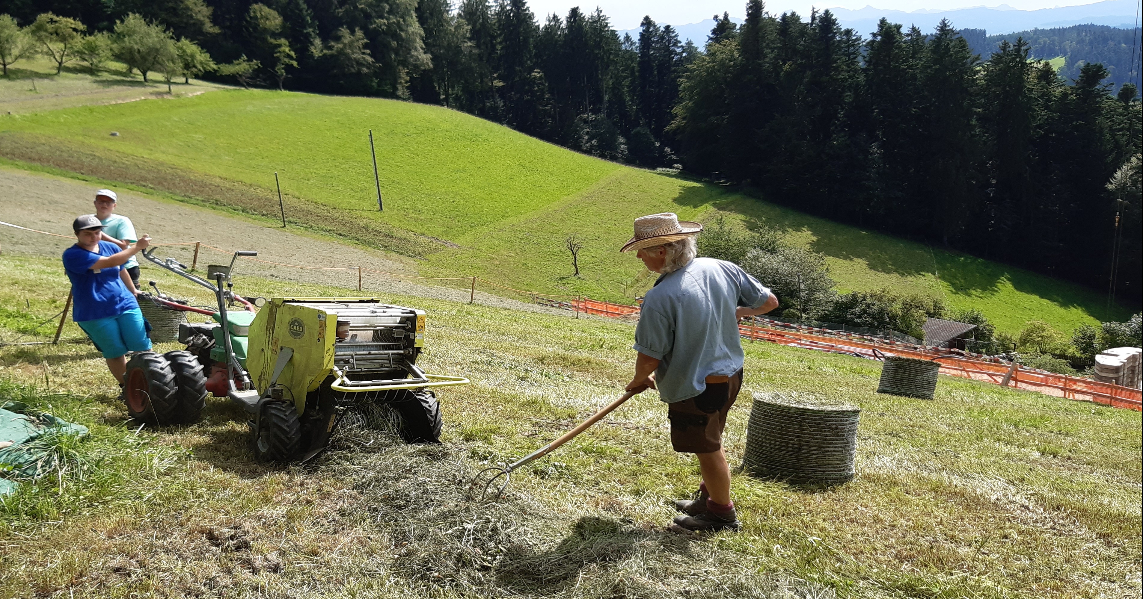 Freie Ausbildungsplätze