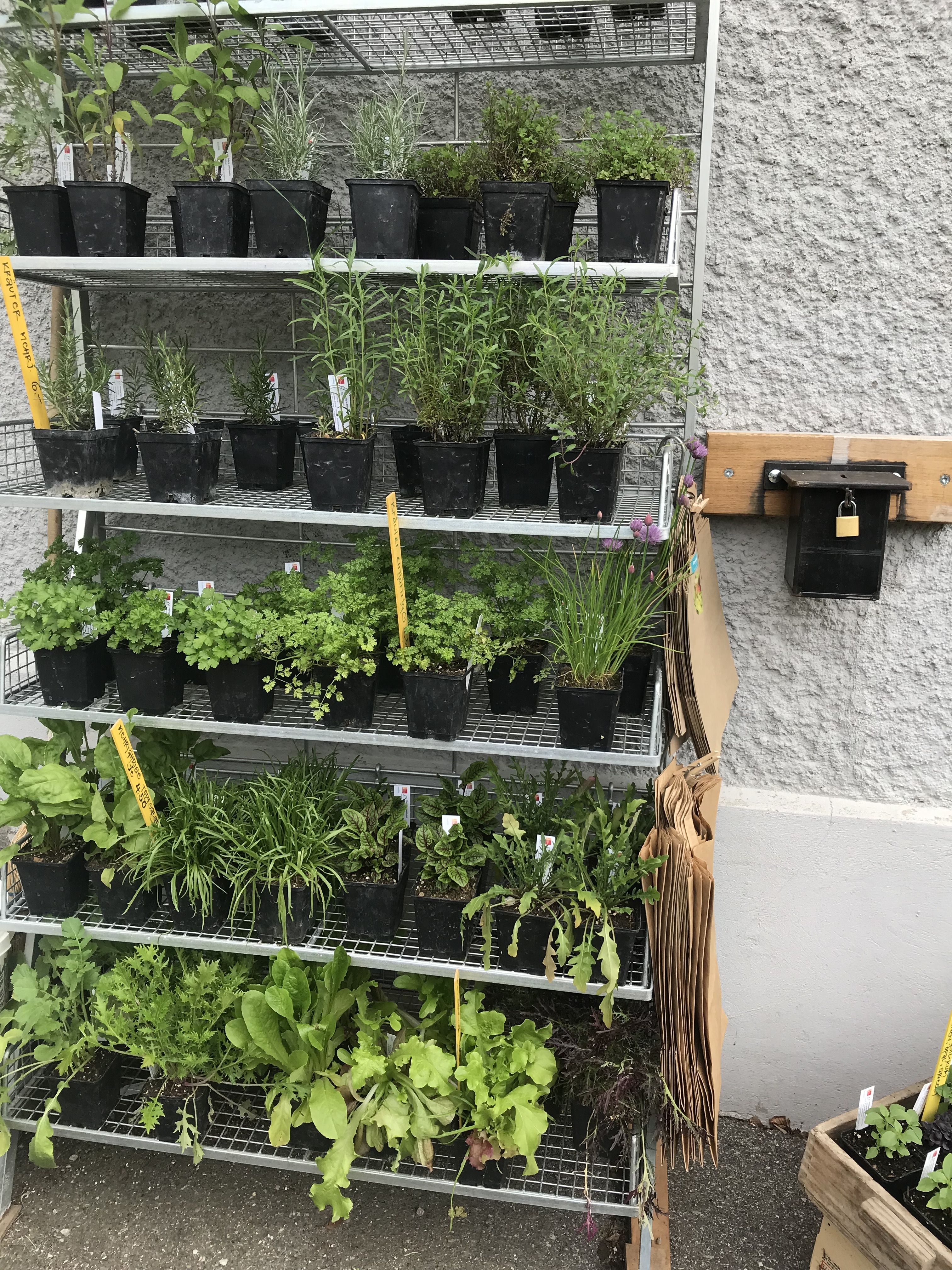 Ihr Essen aus dem eigenen Garten? Produkte dazu aus unserer Gärtnerei