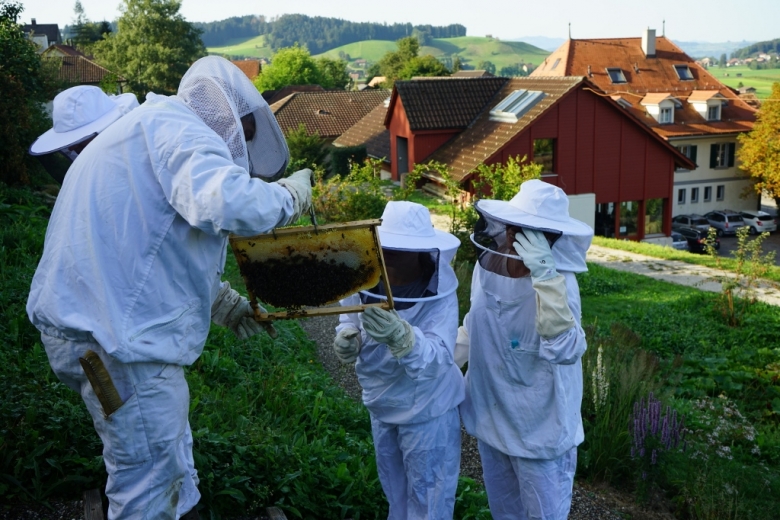 Thementage Bienen