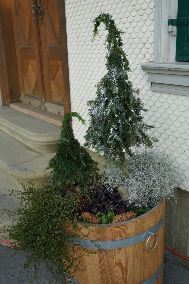 DSC03341.JPG