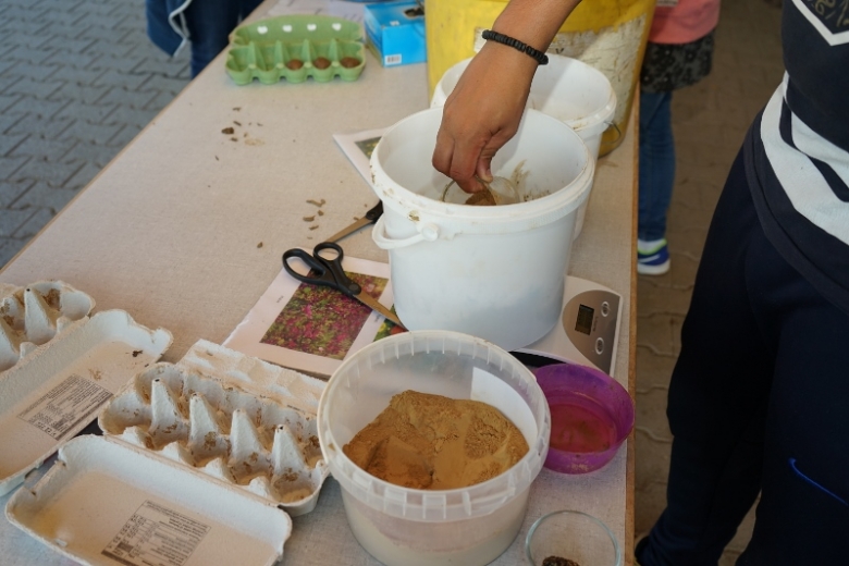 Seedballs_1(800x533).jpg